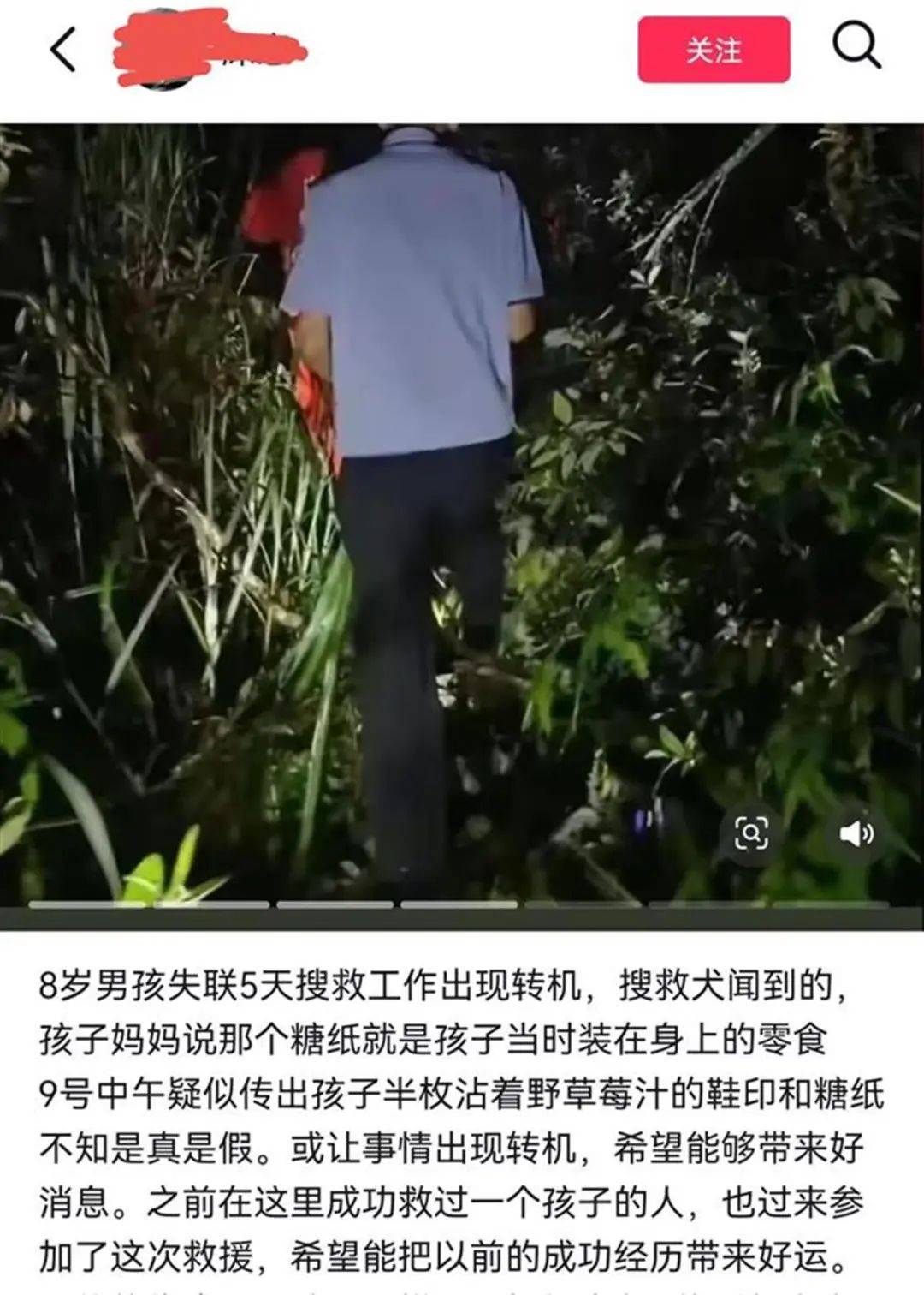 皇冠2登录welcome_2只搜救犬受伤皇冠2登录welcome！发现福建8岁失踪男孩的脚印和糖纸？搜救人员回应