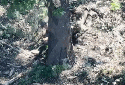 皇冠信用网会员_数十名俄军吞枪自杀皇冠信用网会员，多名女兵被炸死！用枪爆头会有痛苦吗？