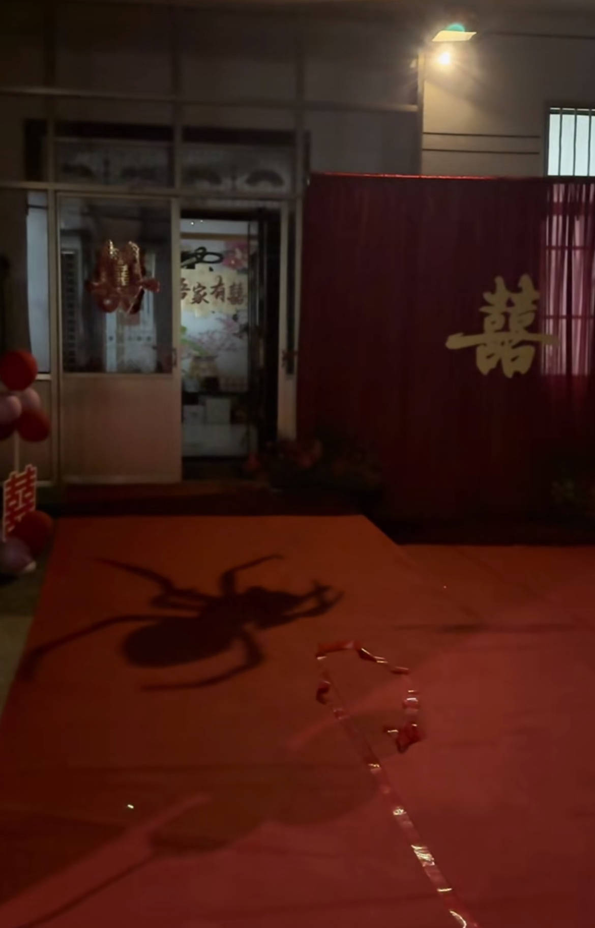 皇冠信用盘代理登1_山东一新娘家凌晨出现巨大蜘蛛的倒影皇冠信用盘代理登1，拍摄者：蜘蛛爬在灯泡上，网友：这才是喜结连理