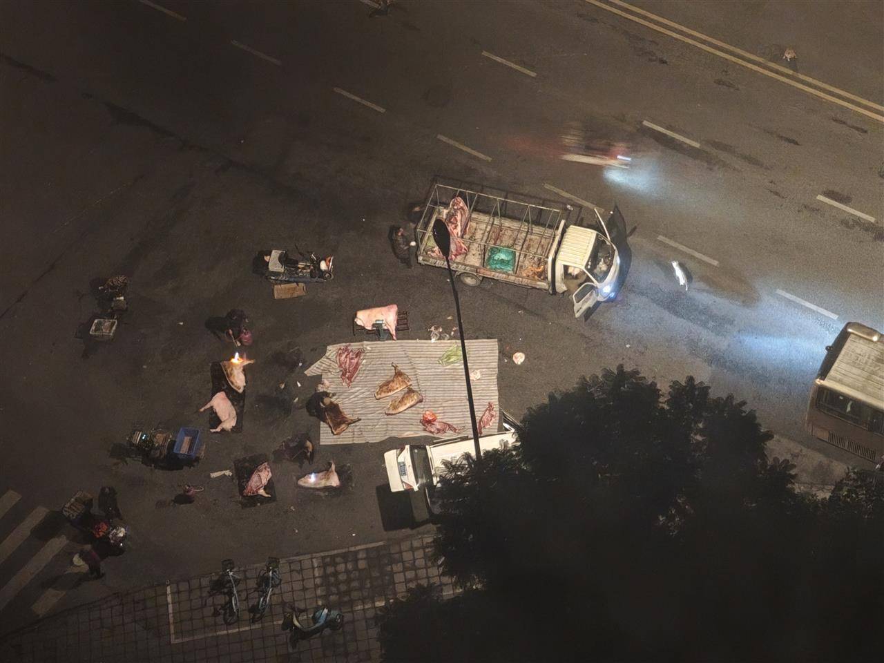 皇冠信用網在线申请_成都街头凌晨惊现“流动猪肉摊”皇冠信用網在线申请，一群人在路边地上剁猪肉为摊贩供货，当地回应