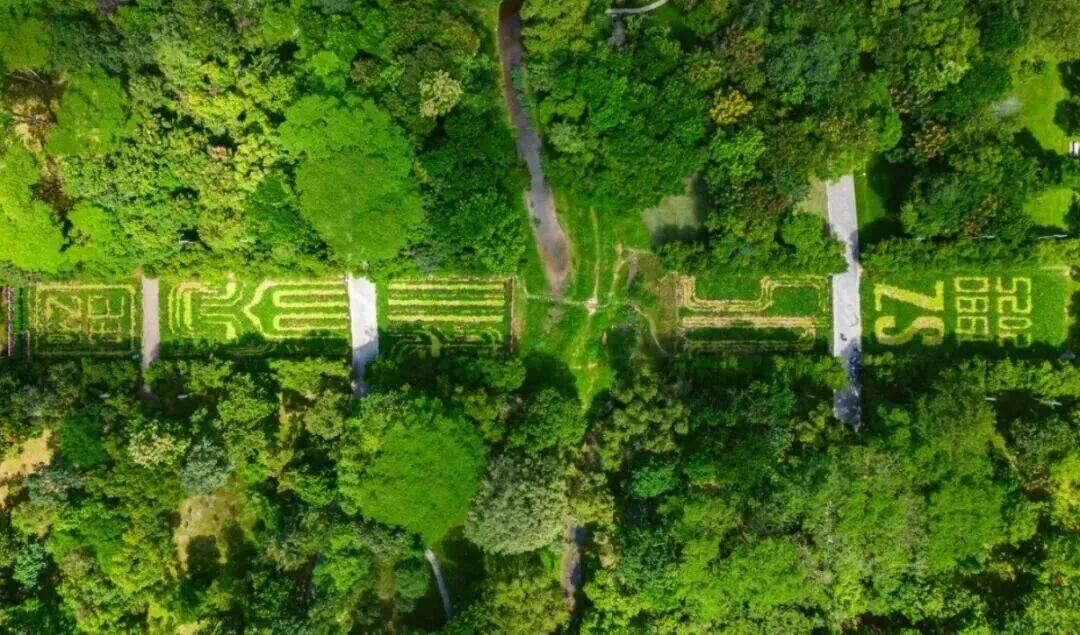 皇冠信用網结算日
_深圳市中心竟有一大片“红薯地”皇冠信用網结算日
!官方紧急提醒:请勿私挖