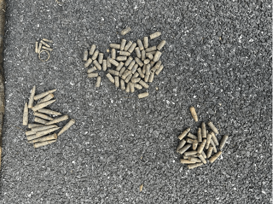 皇冠信用网在线注册_男子钓到108发子弹以为是大鱼皇冠信用网在线注册，警方：疑似为历史遗留弹药，已移交至相关部门处理