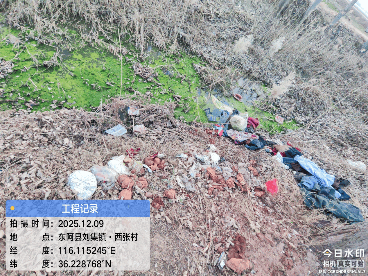 皇冠信用網注册开户_东阿县：多个村庄“垃圾围村” 县农村农业局回复称 已全部整治清理